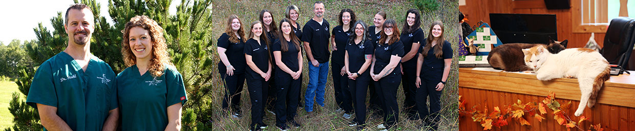 Professional & Friendly Staff