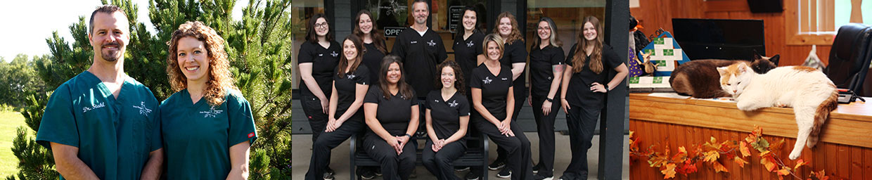 Professional & Friendly Staff
